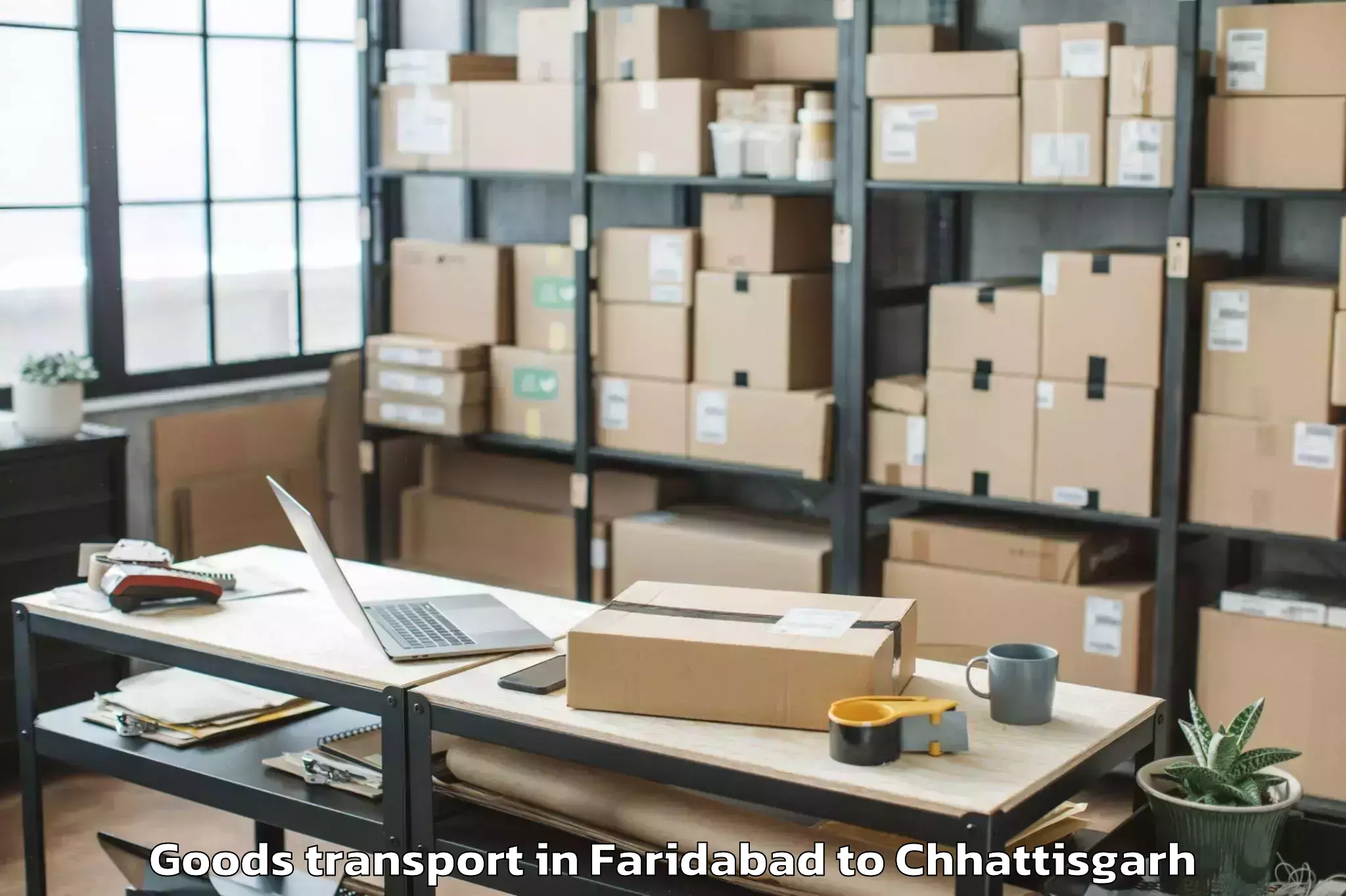 Expert Faridabad to Bijapur Chhattisgarh Goods Transport